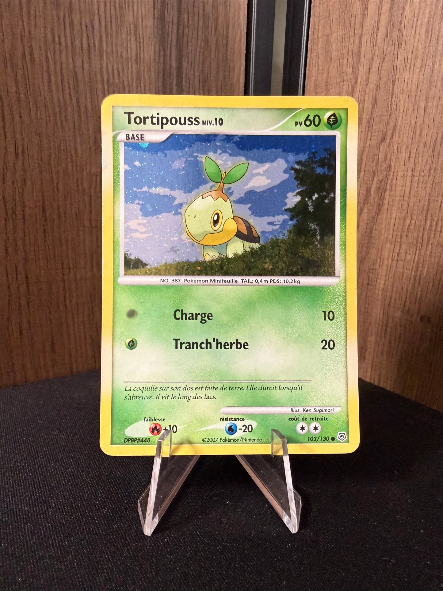 Tortipouss 103/130