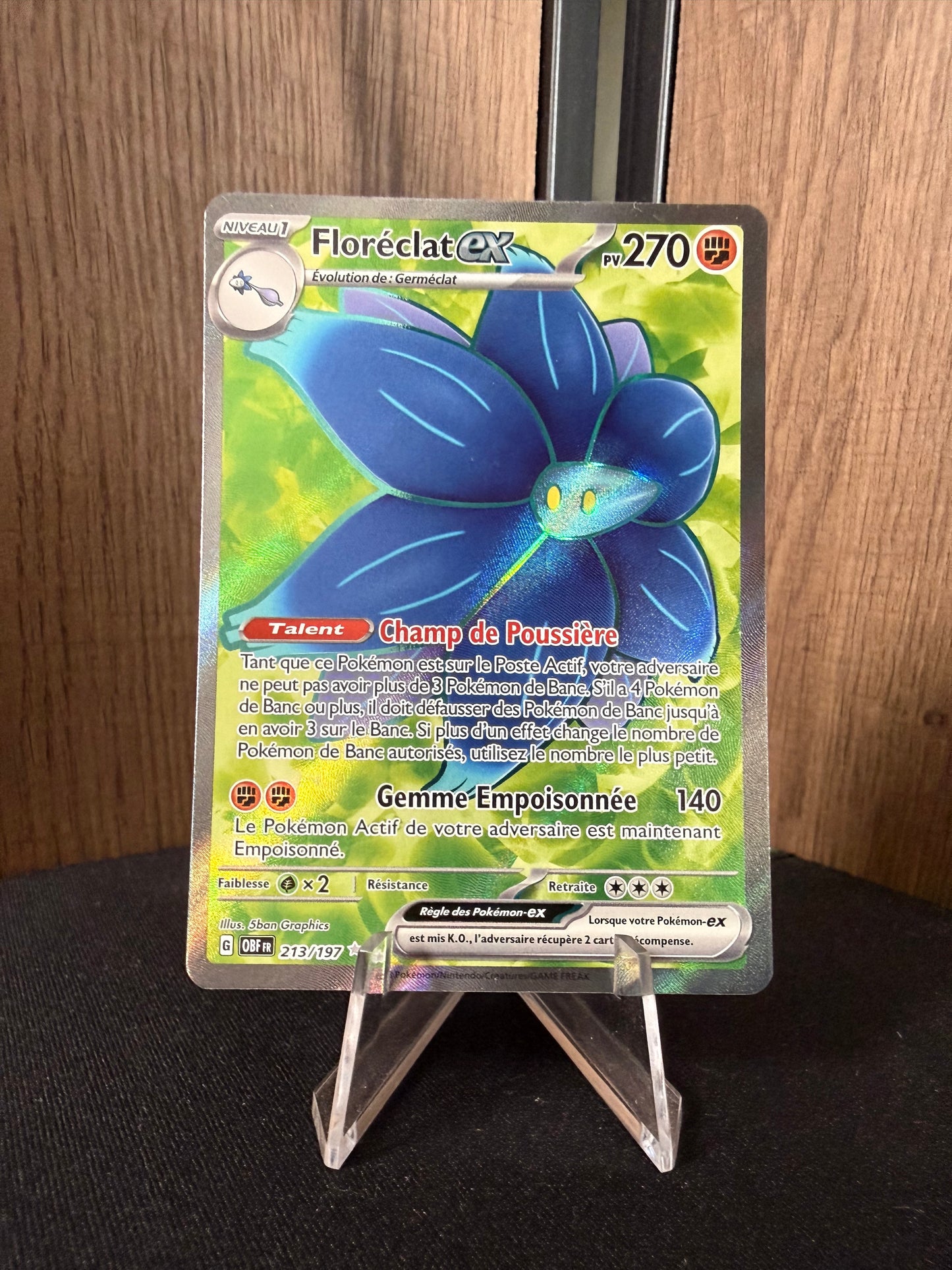 Floréclat ex 213/197