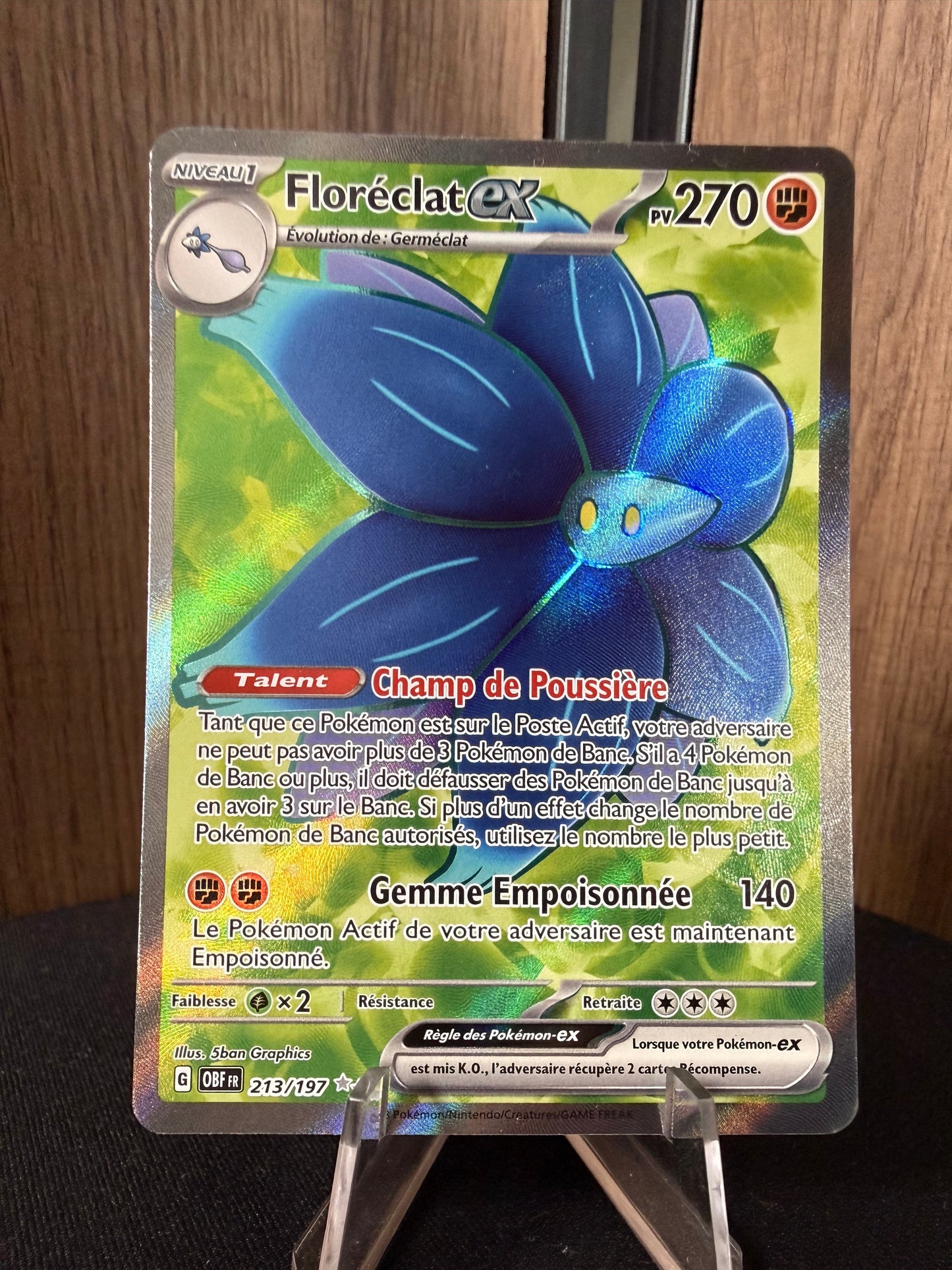 Floréclat ex 213/197