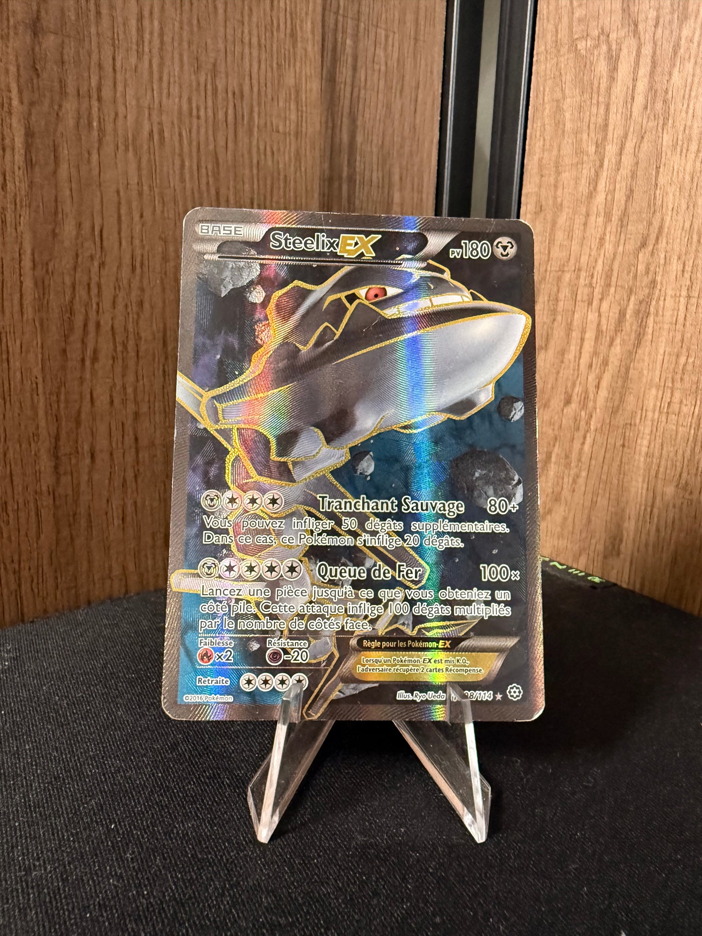 Steelix EX 108/114