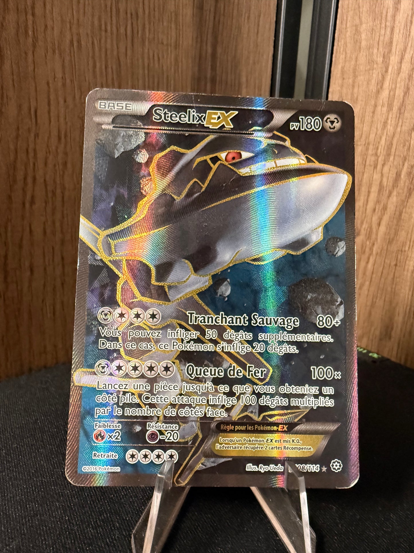 Steelix EX 108/114