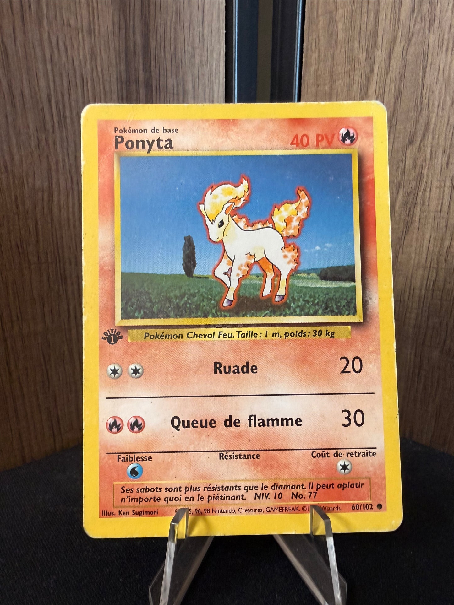 Ponyta 60/102 Set de Base Ed1