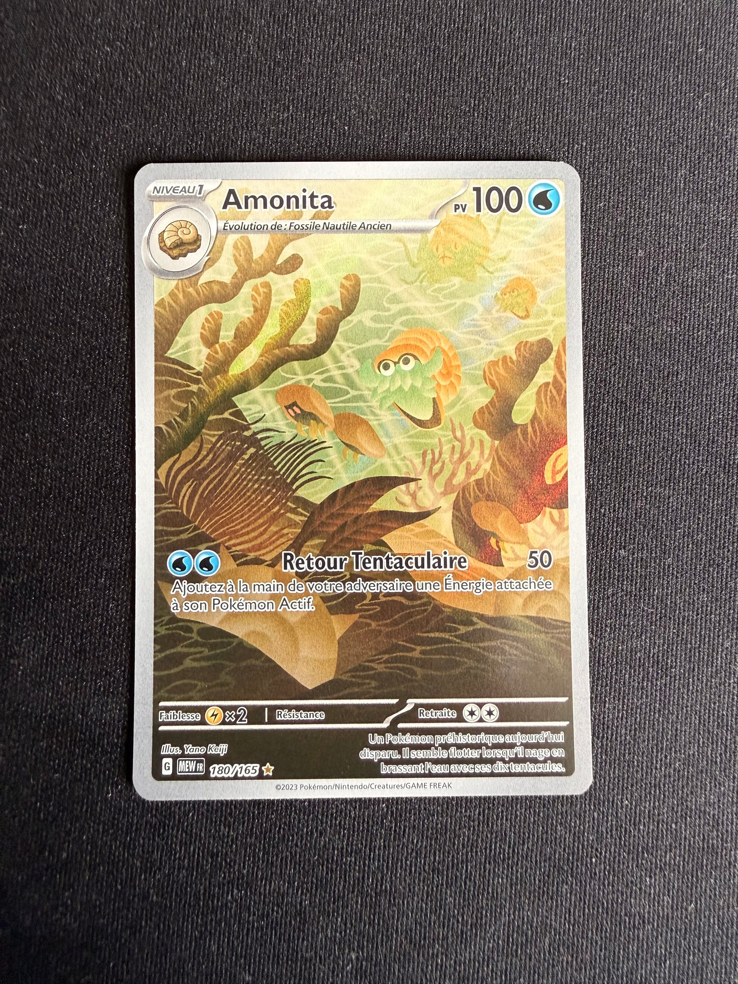 Amonita 180/165