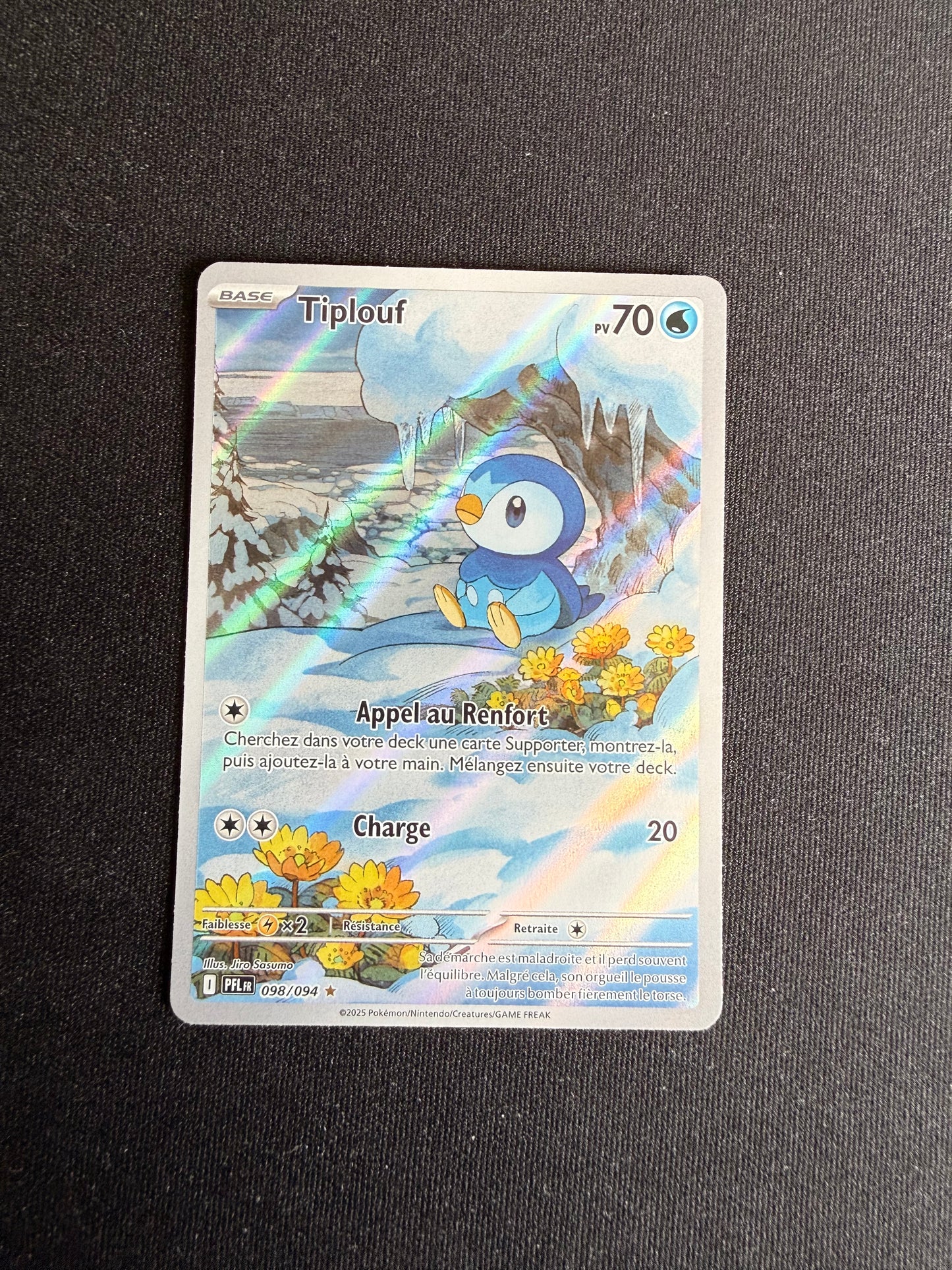 Tiplouf 098/094