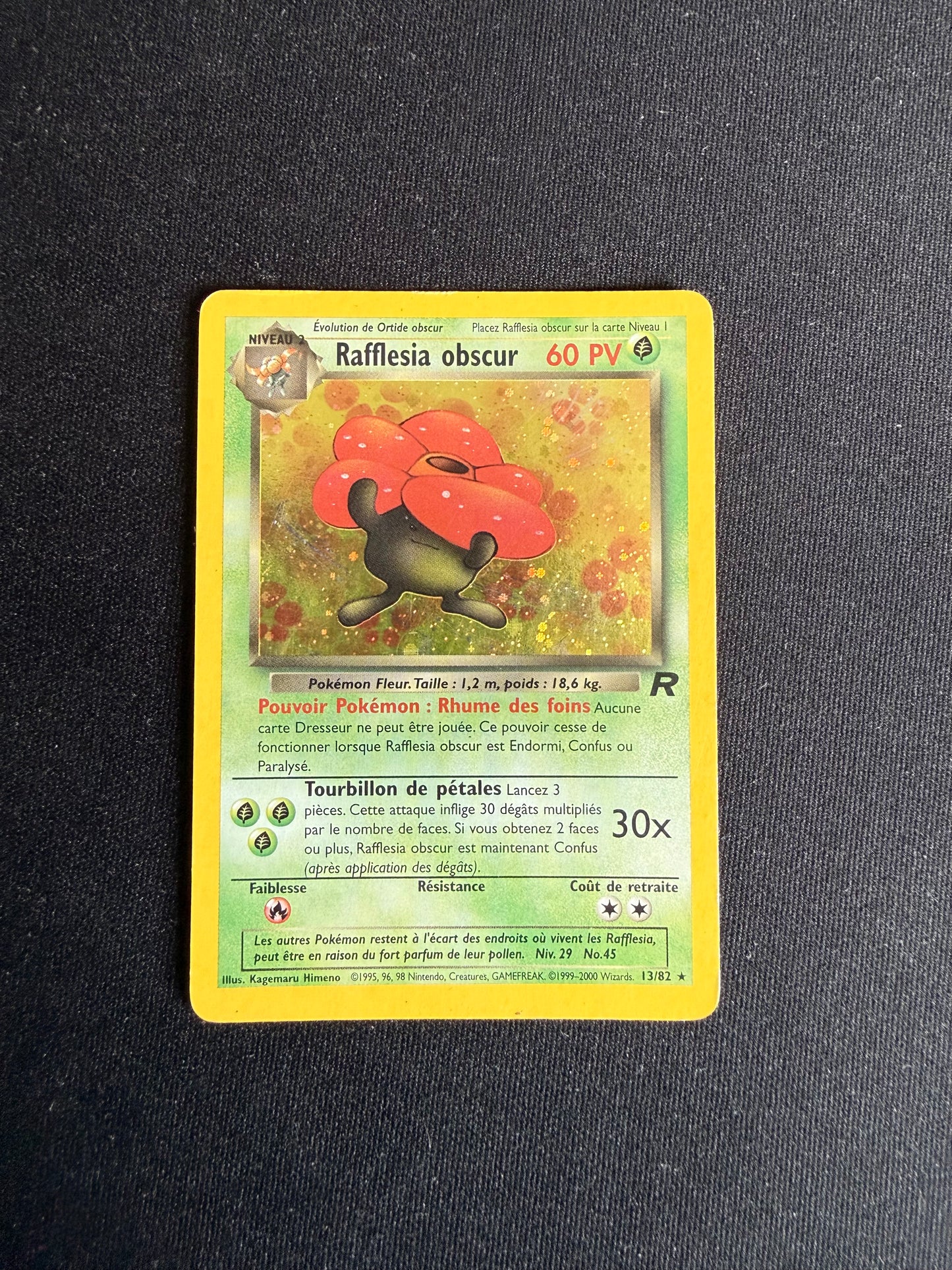 Rafflesia obscur 13/82