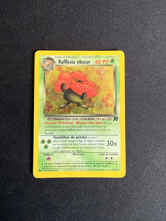 Rafflesia obscur 13/82