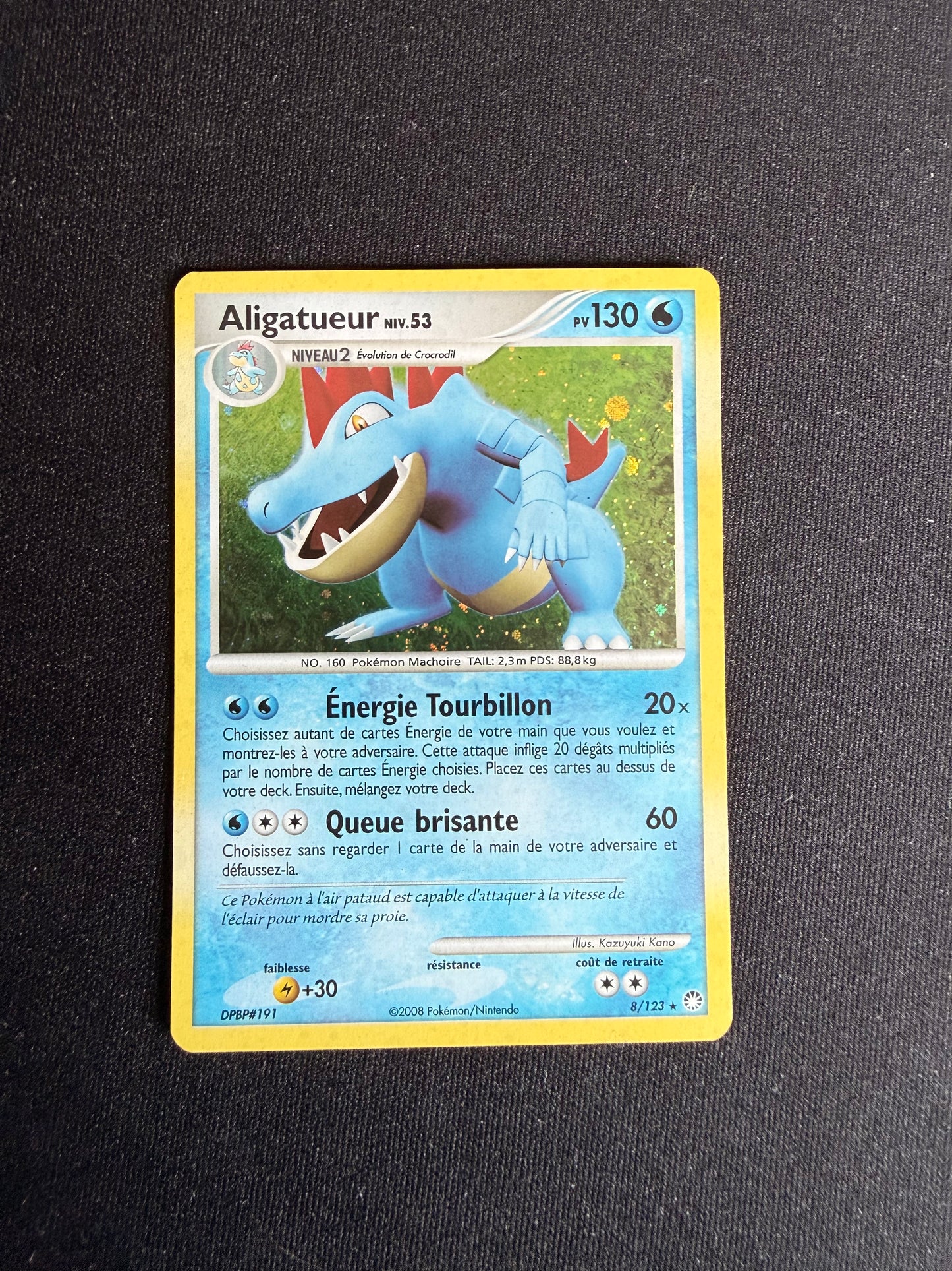 Aligatueur 8/123