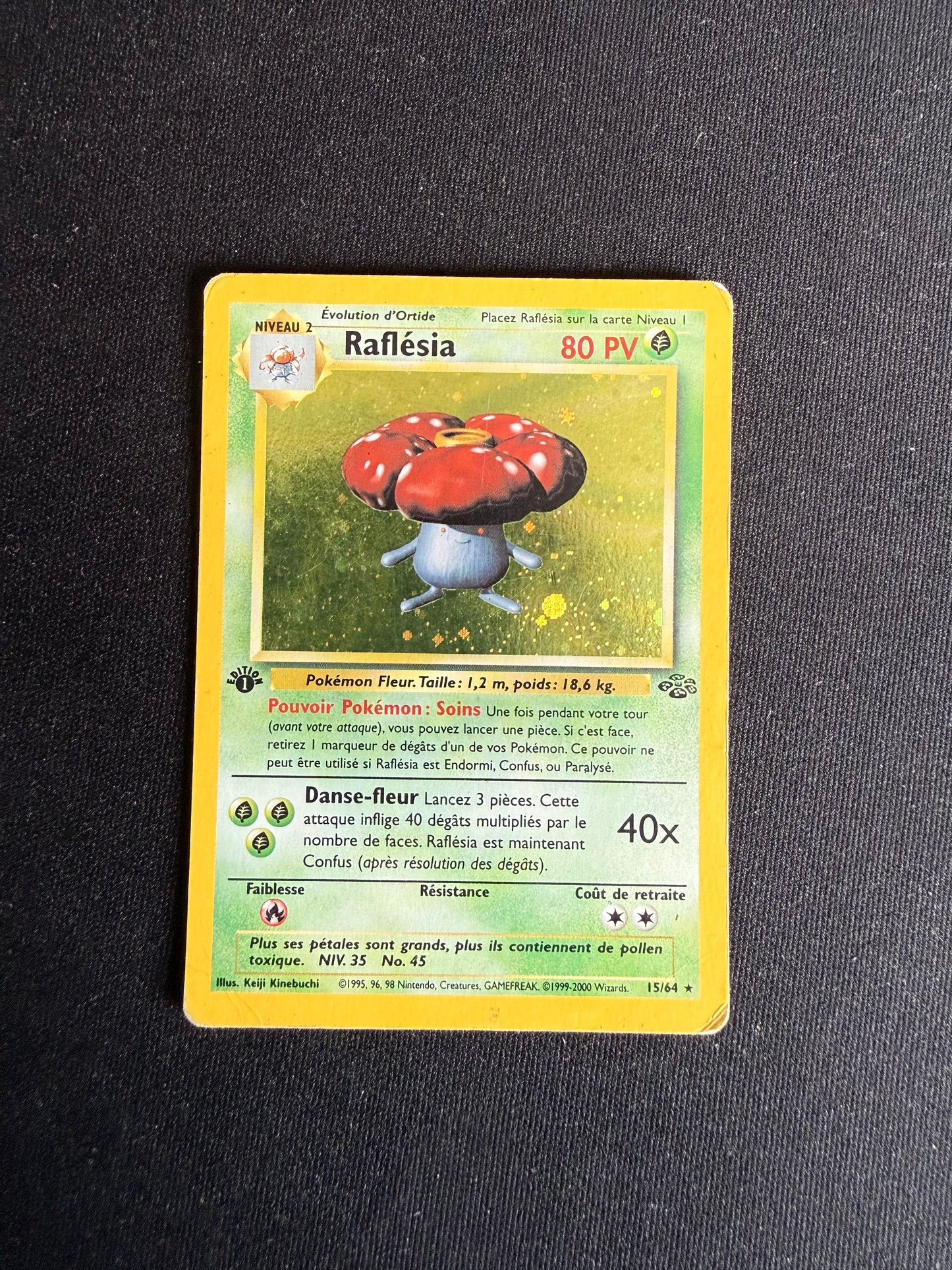 Raflésia 15/64
