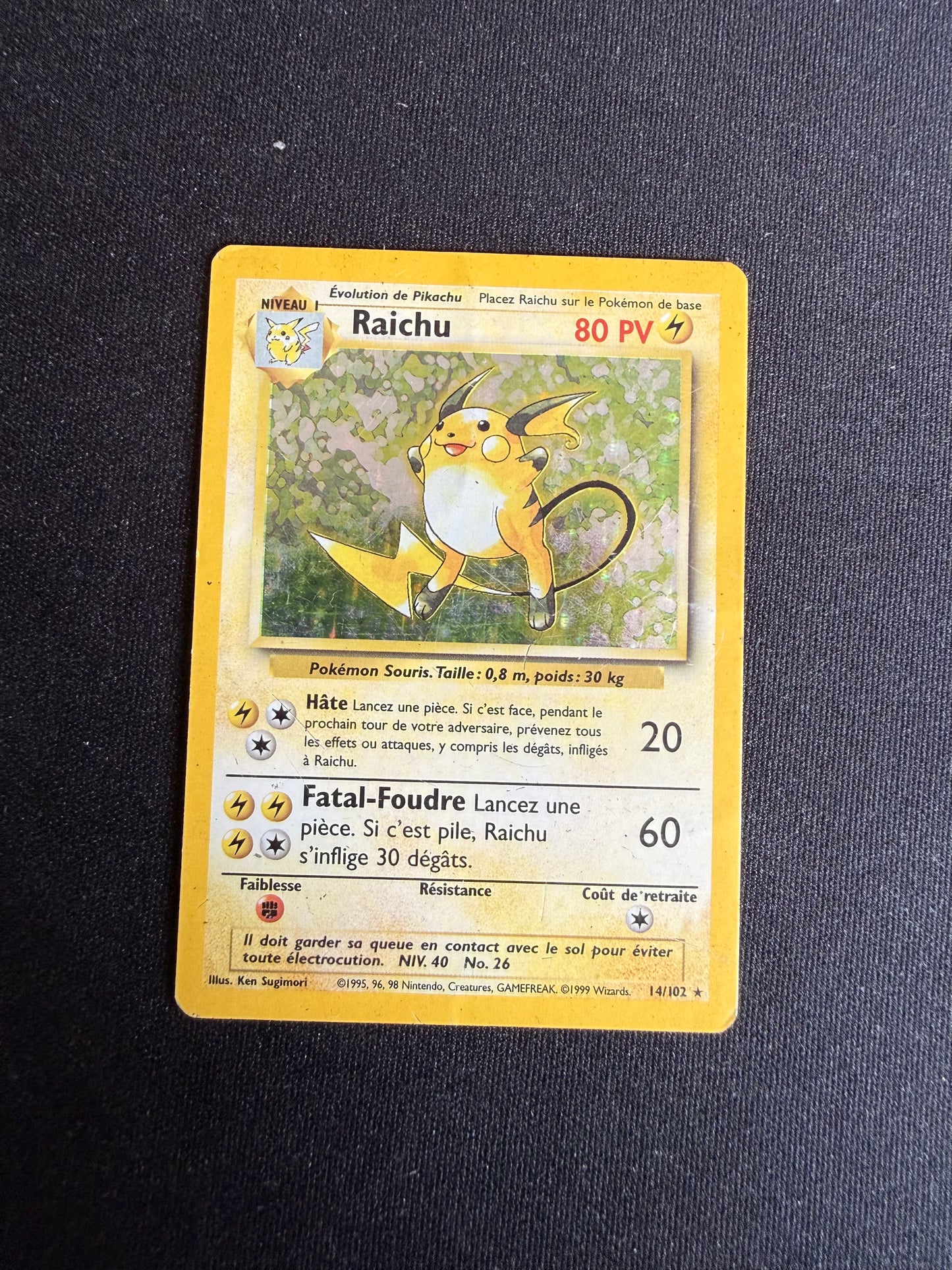 Raichu 14/102