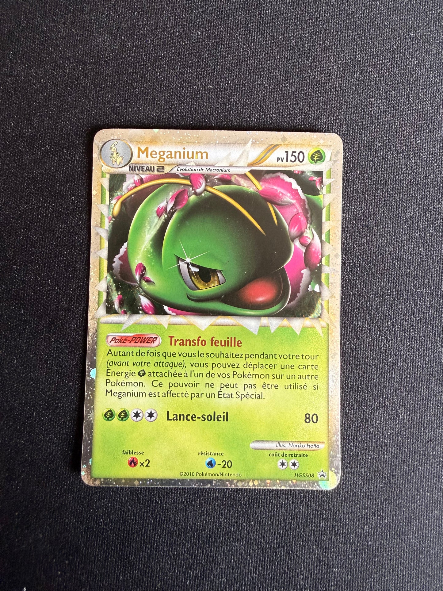 Meganium HGSS08