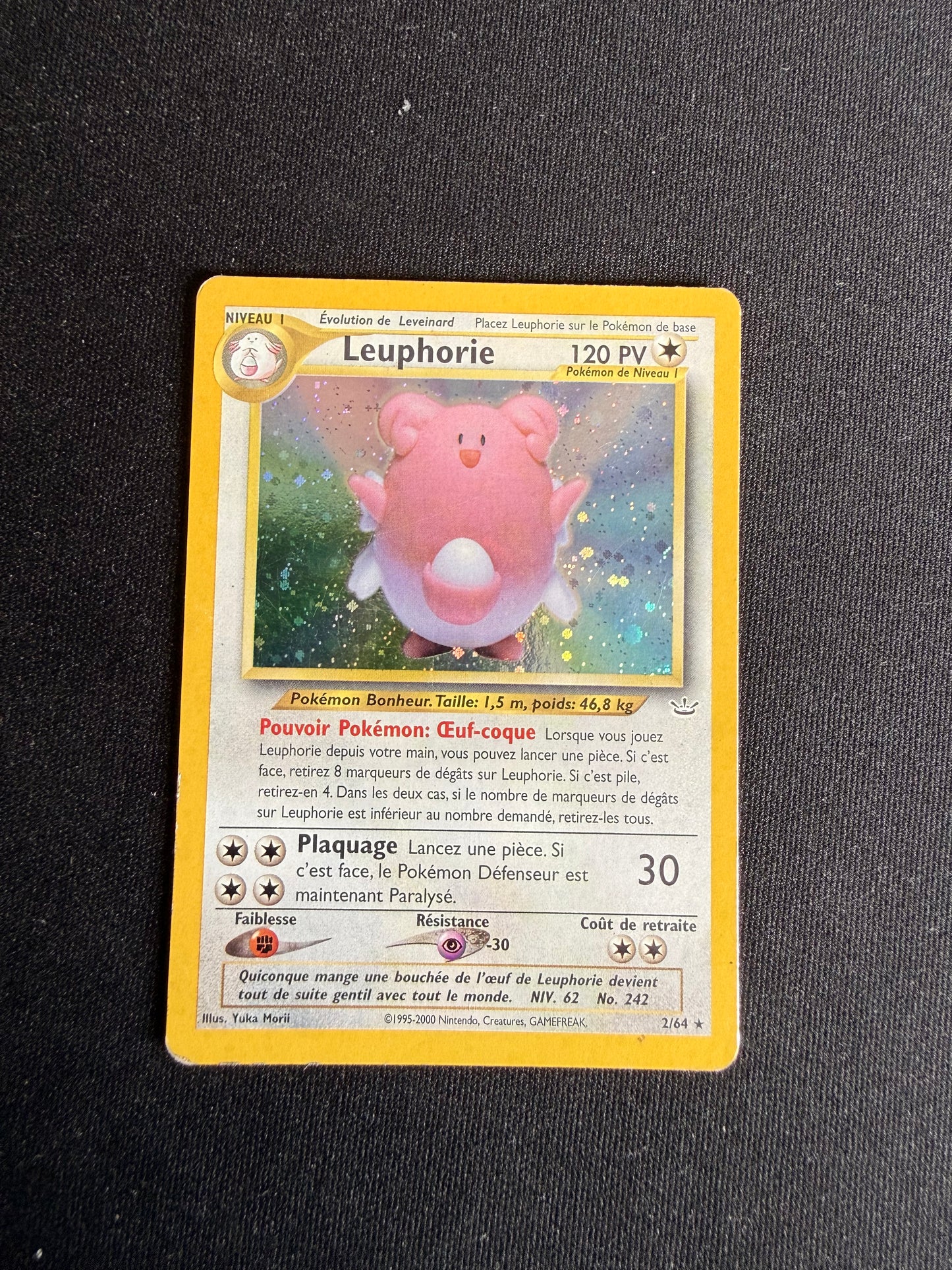 Leuphorie 2/64