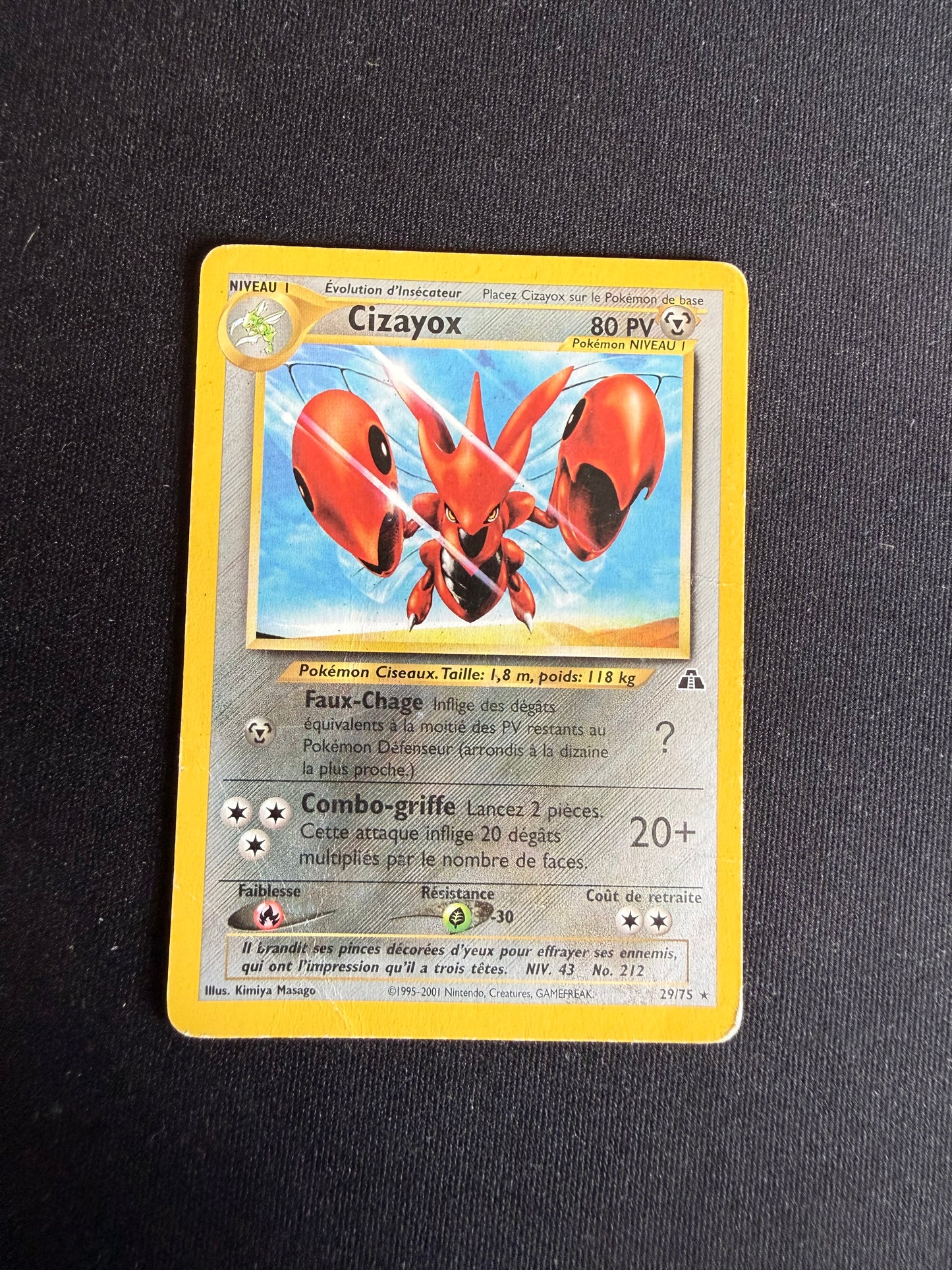Cizayox 29/75