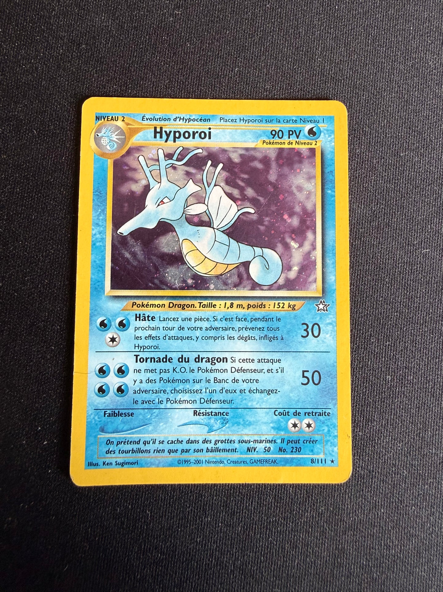 Hyporoi 8/111