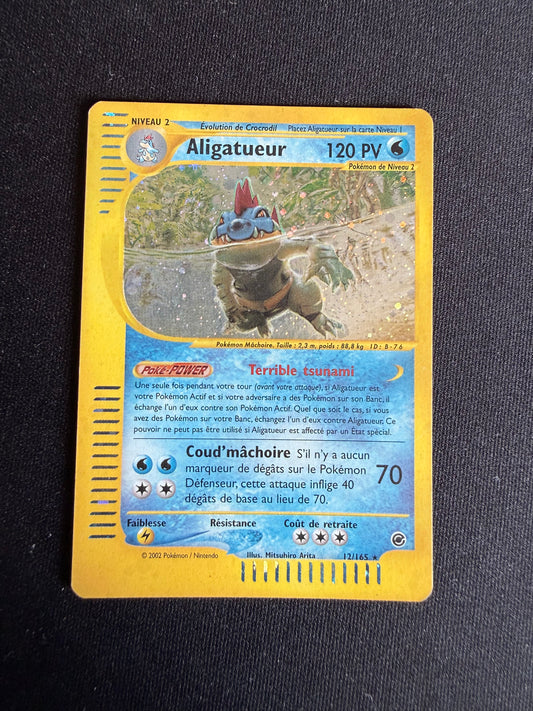 Aligatueur 12/165