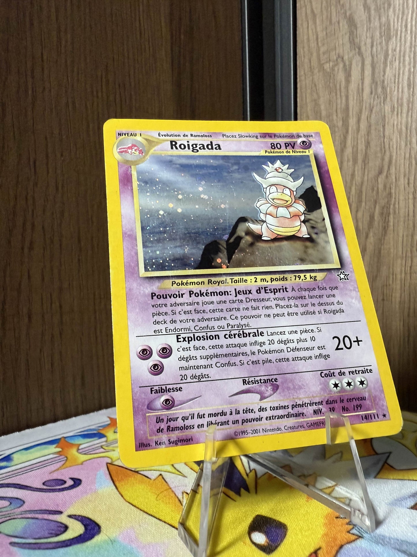Roigada (NG 14)